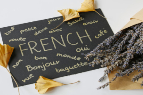 Преимущества индивидуального обучения французскому языку для начинающих