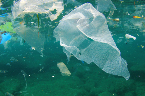 Пластика в океане может стать в четыре раза больше уже к 2050 году (ВИДЕО)