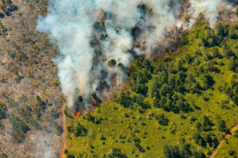 На сході Куби вирують масштабні лісові пожежі (ВІДЕО)
