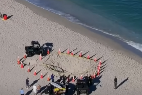 Через обвал піску загинула дівчинка, яка гралася на пляжі Флориди (ВІДЕО)