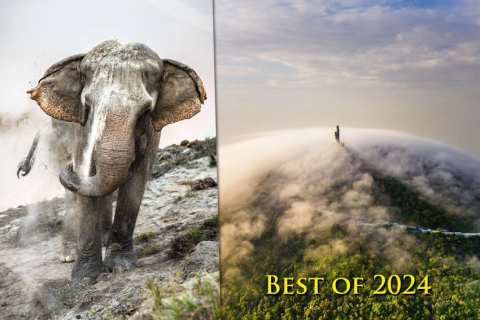 Найкращі фотографії 2024 року: Sony World Photography Awards оголосила переможців з 54 країн світу (ФОТО)