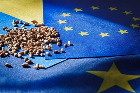 УКАБ закликав уряд захистити доступ українських фермерів до ринку ЄС