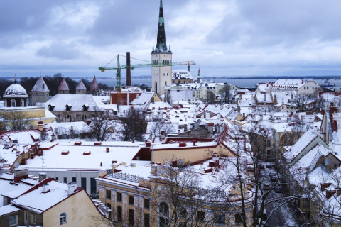 В Естонії затримано 10 осіб, підозрюваних у диверсіях за наказом РФ