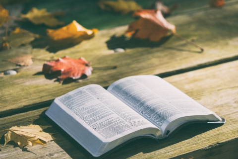 Чому Біблію краще читати в сучасному перекладі: відкриваючи стародавні тексти для сучасного читача