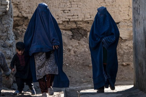 В одній із провінцій Афганістану держслужбовців закликали не фотографувати "живих істот" (ВІДЕО)