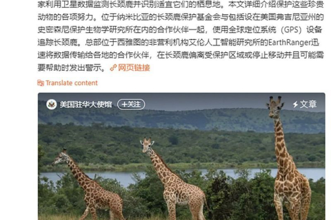 Пост посольства США про жирафів збирає тисячі коментарів про падіння акцій (ВІДЕО)