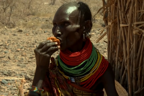 На півночі Кенії посилюється голод на тлі скорочення допомоги та посухи (ВІДЕО)