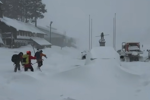 Восемь лыжников подтверждены погибшими в результате лавины в Калифорнии, один по-прежнему считается пропавшим без вести
