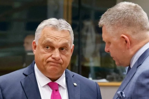 Опитування показує, що угорська партія «Тіса» зберігає лідерство над правлячою партією Орбана 