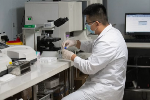 Китайские военные лаборатории использовали 1 миллиард долларов из американских исследовательских фондов: отчет