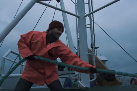 Рабочий диплом моряка: ключ к легальной и успешной карьере в море