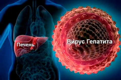 Софосбувир для лечения гепатита С в Украине и современные препараты на его основе 