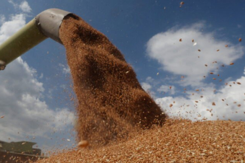 Китай стремится извлечь выгоду из зернового кризиса из-за войны в Украине