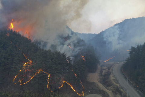  Лесной пожар в Южной Корее уничтожил 159 домов, 6200 человек вынуждены бежать