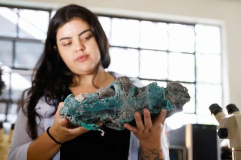 Бразильські дослідники виявили пластикові камені на віддаленому острові (ВІДЕО)