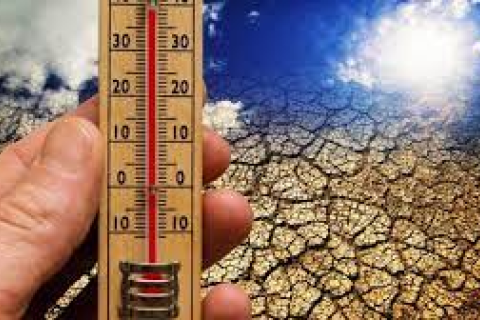 Аргентина страждає від рекордної спеки (ВІДЕО)