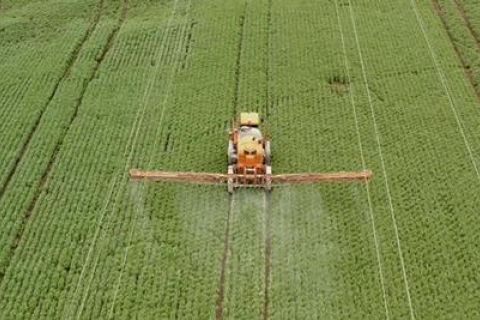 Тіньовий бізнес пестицидів — отруйний експорт Європи: Розслідування DW (ВІДЕО)