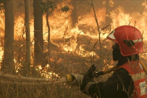 Пожежники борються з понад 100 лісовими пожежами в Іспанії (ВІДЕО)