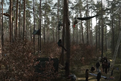 В Німеччині активісти побудували будиночки на деревах у відповідь на зазіхання Tesla (ВІДЕО)