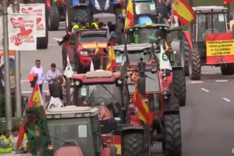 Испанские фермеры протестуют в Мадриде, несмотря на уступки 
