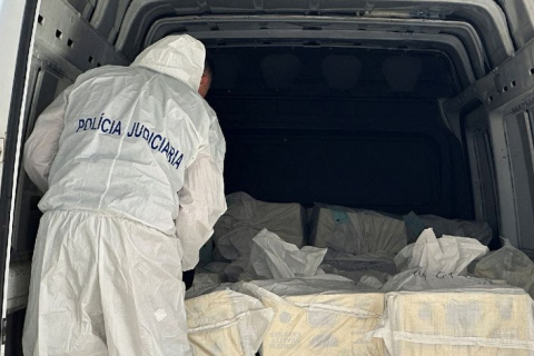 Португальська поліція вилучила 1,3 тонни кокаїну, захованого в замороженій рибі