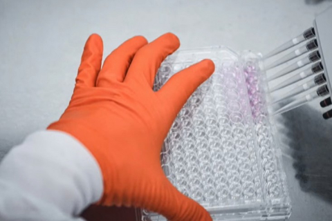 Китайские власти помогли закрыть дело о контрабанде червей в США