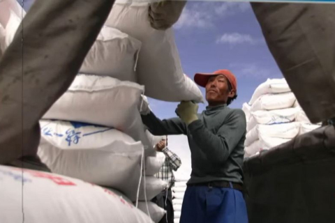 Криза добрив: Китай обмежує експорт на тлі напруження в Ормузькій протоці (ВІДЕО)