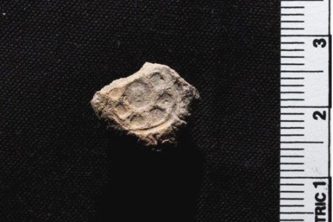 Археологи знайшли підтвердження одному з біблійних оповідань?