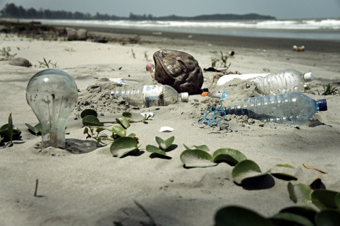 Сколько тонн пластикового мусора плавает в Мировом океане?