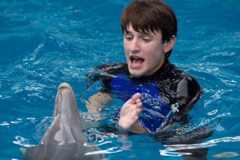 Фильм «История дельфина 2» уже в украинском прокате