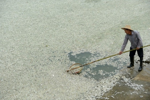 Китаю завадить розвиватись відсутність чистої води