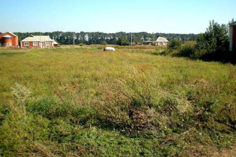 Участки в поселке Пятницкого шоссе