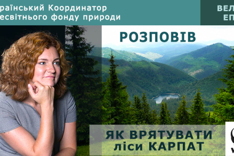 Український Координатор Всесвітнього фонду природи розповів, як врятувати ліси Карпат