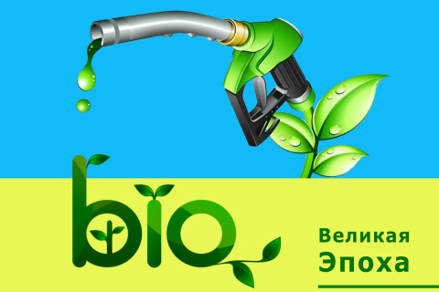 В Украине будут получать биотопливо из сине-зелёных водорослей