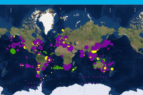Чим забруднений океан: вчені показали мапу сміттєвих плям