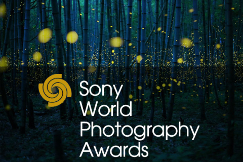 Лучшие работы престижного конкурса фотографии Sony World Photography Awards 2017