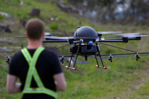 В США дроны восстанавливают леса, погибшие от пожаров