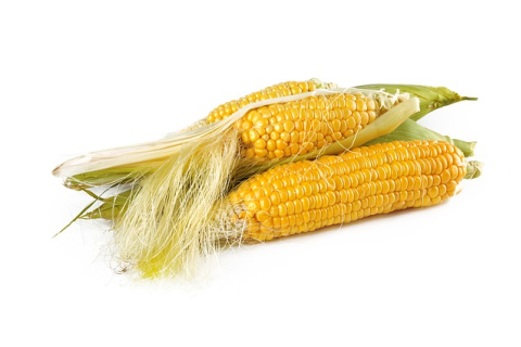 Советы тому, кто хочет вырастить кукурузу на своём участке