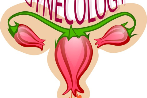  Что стоит знать женщине о посещении гинеколога