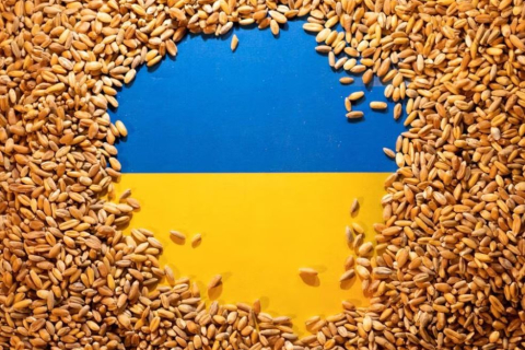 Угорщина закликає ЄС посприяти в транзиті українського зерна (ВІДЕО)