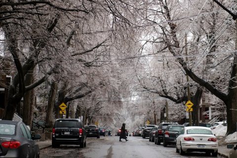 Пасхальные выходные на востоке Канады омрачены ледяным штормом: трое погибших, сотни тысяч домов без электричества