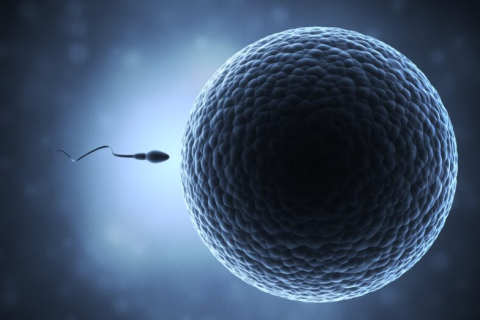 Отец сотен детей получил запрет на донорство спермы от голландского суда
