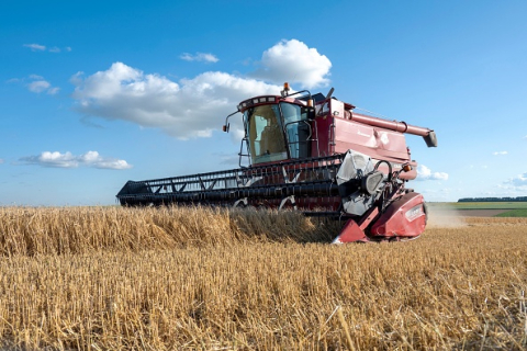 Українські зернові: Брюссель домовився з п'ятьма країнами ЄС (ВІДЕО)