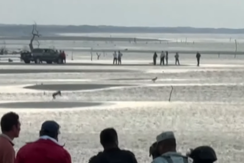 Мексика: восемь китайских мигрантов найдены мертвыми на пляже