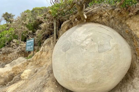 Таинственные каменные сферы Новой Зеландии продолжают очаровывать