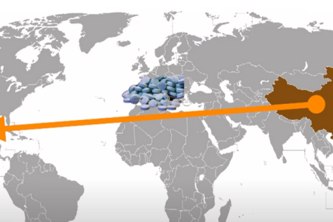 Понад 24000 китайців незаконно перетнули кордон США у 2024 році (ВІДЕО)