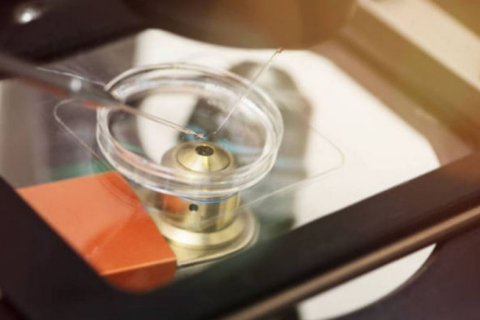 Як покращити показники спермограми природним шляхом