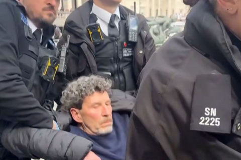 Поліція в Лондоні заарештувала 523 особи під час акції проти заборони Palestine Action (ВІДЕО)