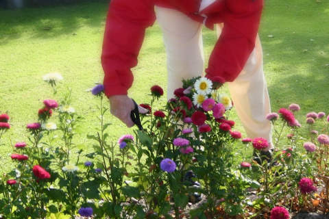 Отримайте максимум користі від весняних садових робіт вже зараз