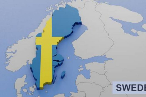 У Швеції заявили про спробу проросійської кібератаки на електростанцію